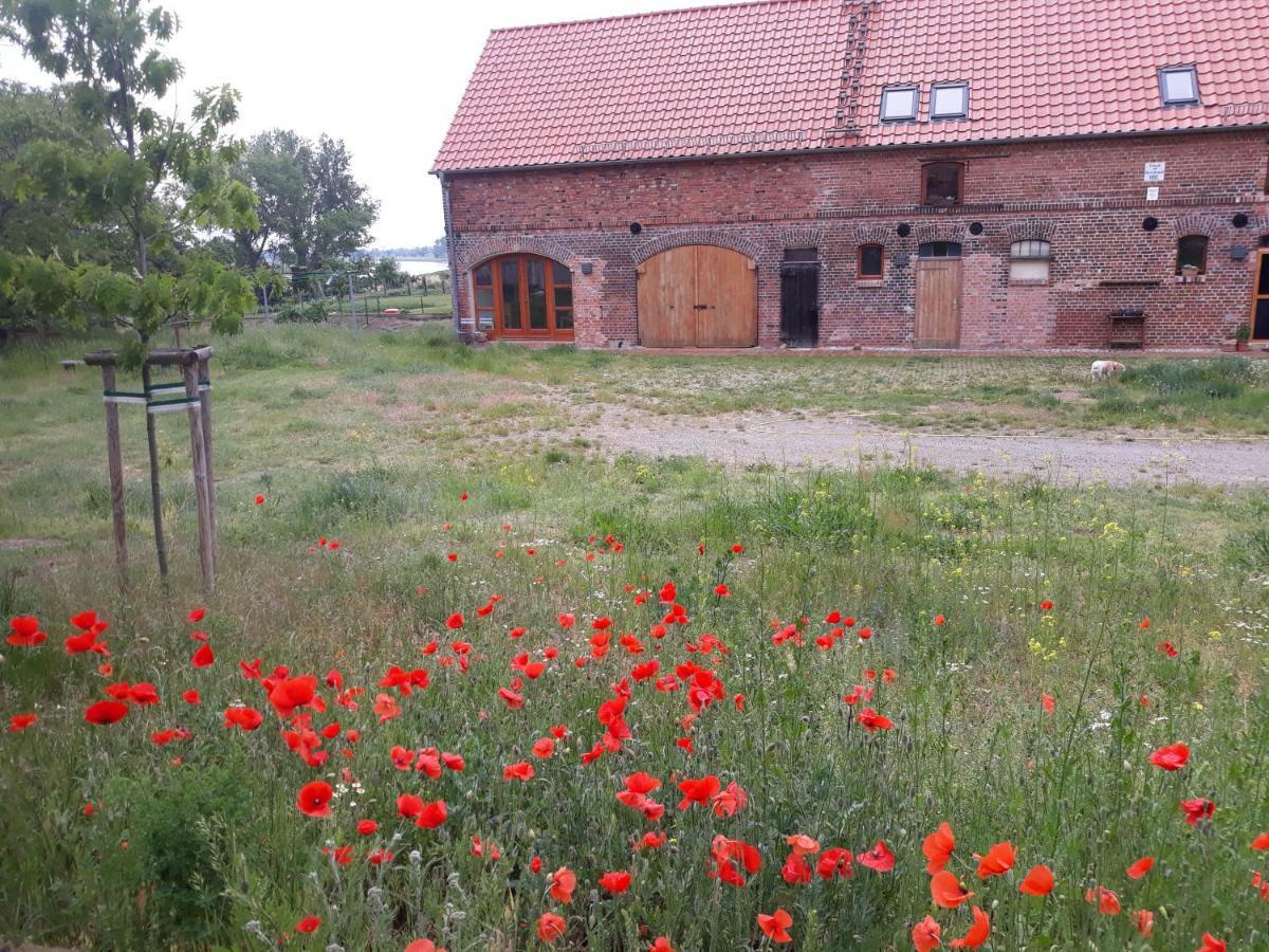 An Den Elbwiesen Gz Fewo Elbeblick Nur Nichtraucher Dommitzsch Exterior photo